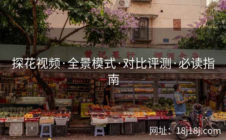 探花视频·全景模式·对比评测·必读指南