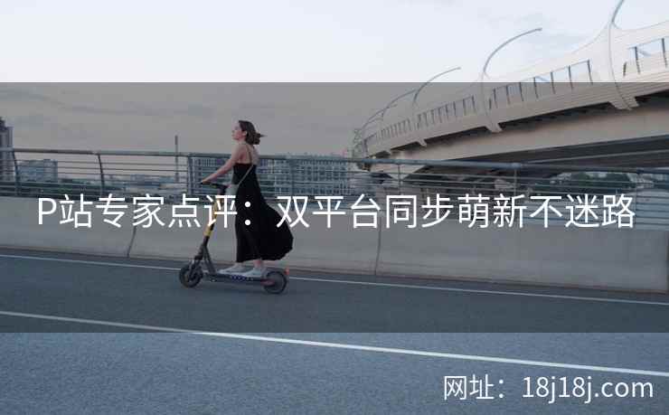P站专家点评：双平台同步萌新不迷路