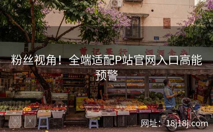 粉丝视角！全端适配P站官网入口高能预警