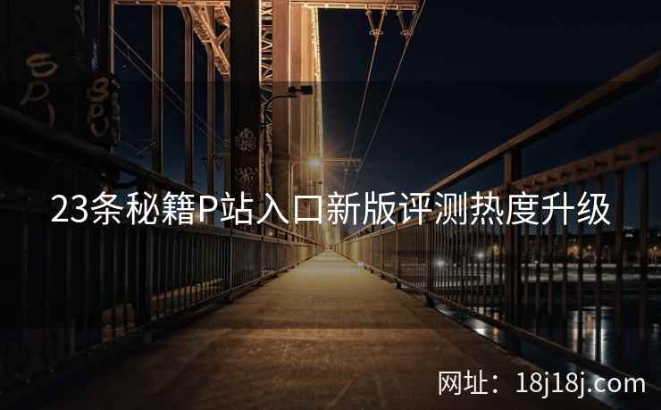 23条秘籍P站入口新版评测热度升级