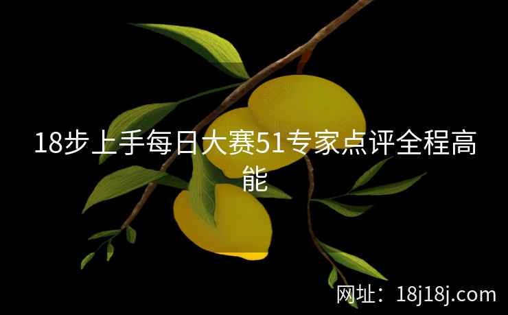 18步上手每日大赛51专家点评全程高能