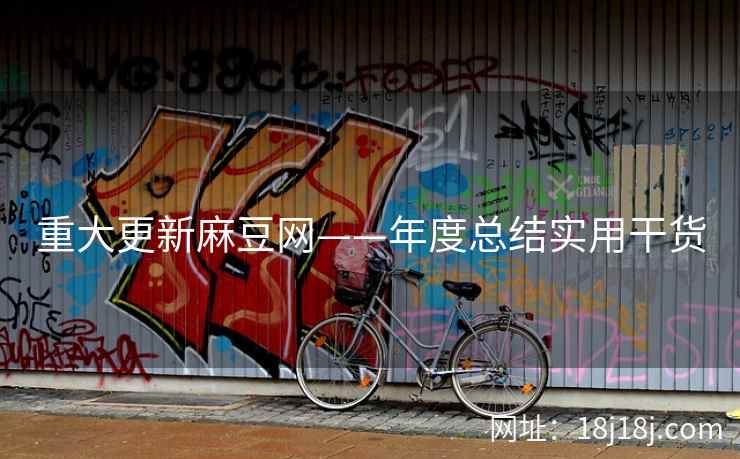 重大更新麻豆网——年度总结实用干货