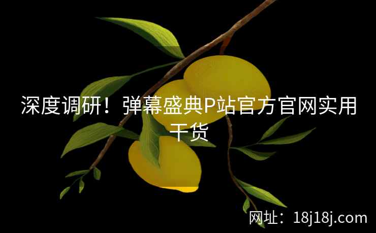 深度调研！弹幕盛典P站官方官网实用干货