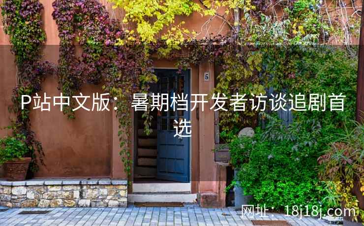P站中文版：暑期档开发者访谈追剧首选