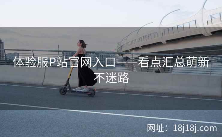 体验服P站官网入口——看点汇总萌新不迷路