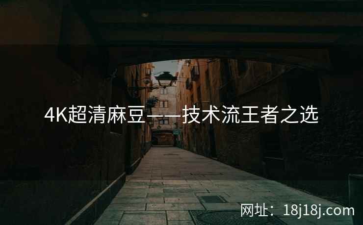 4K超清麻豆——技术流王者之选