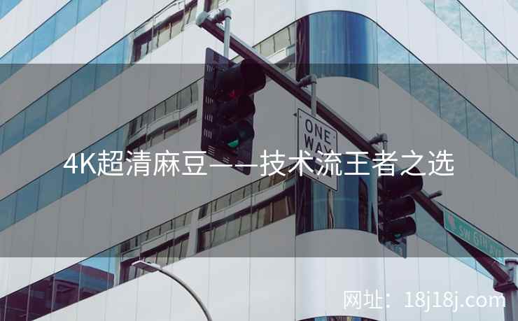 4K超清麻豆——技术流王者之选