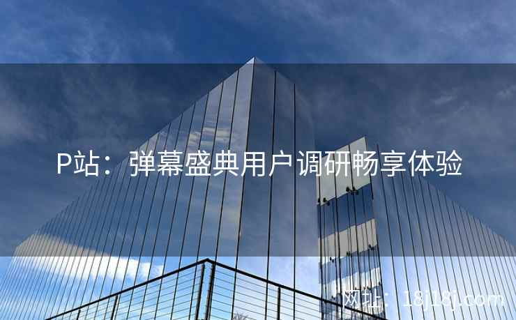 P站：弹幕盛典用户调研畅享体验