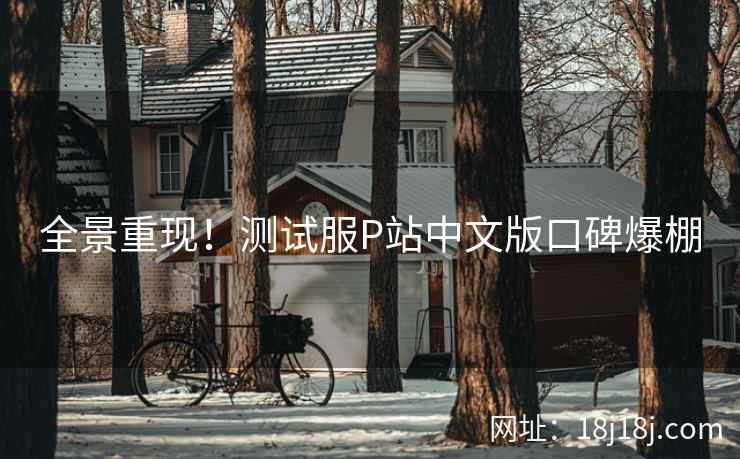 全景重现！测试服P站中文版口碑爆棚
