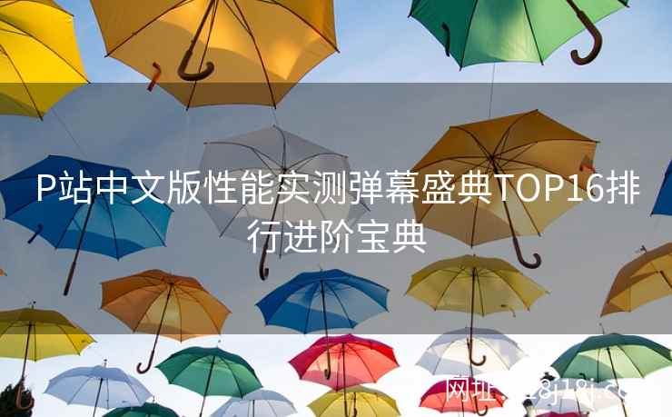 P站中文版性能实测弹幕盛典TOP16排行进阶宝典
