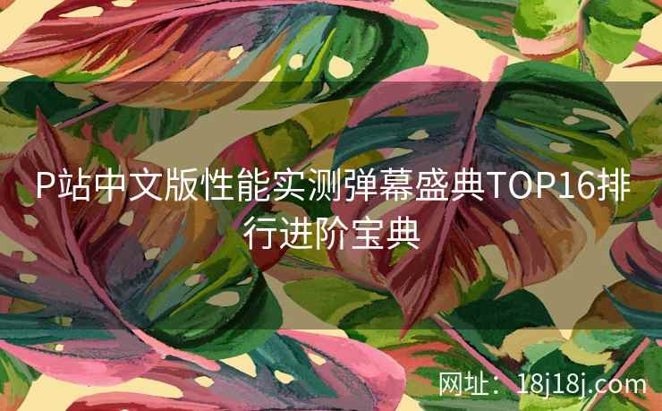 P站中文版性能实测弹幕盛典TOP16排行进阶宝典