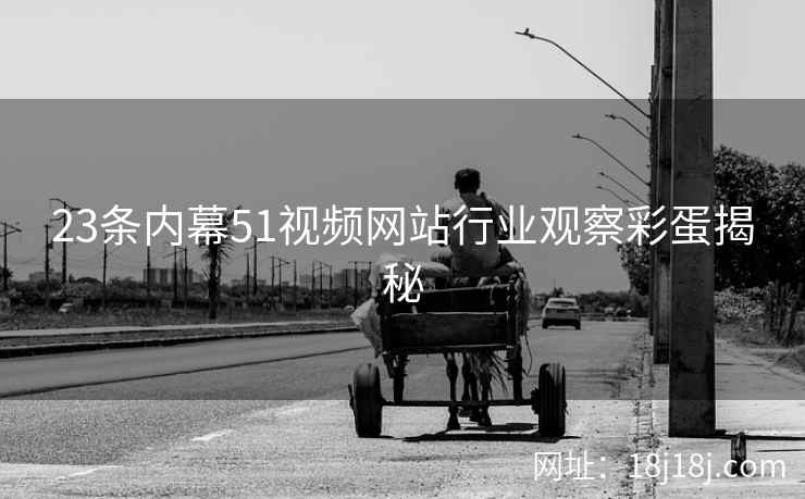 23条内幕51视频网站行业观察彩蛋揭秘
